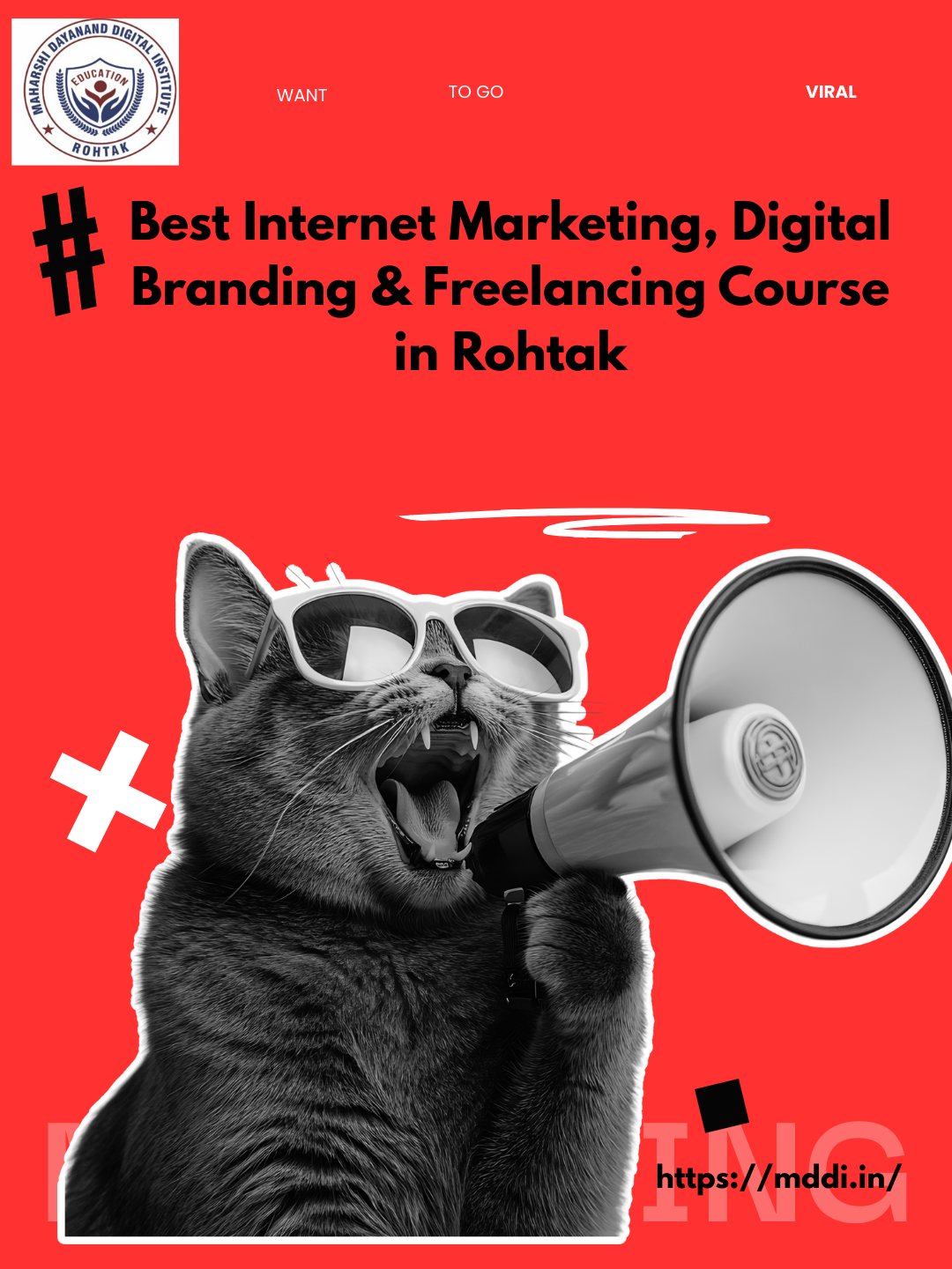Best Internet Marketing, Digital Branding & Freelancing Course in Rohtak